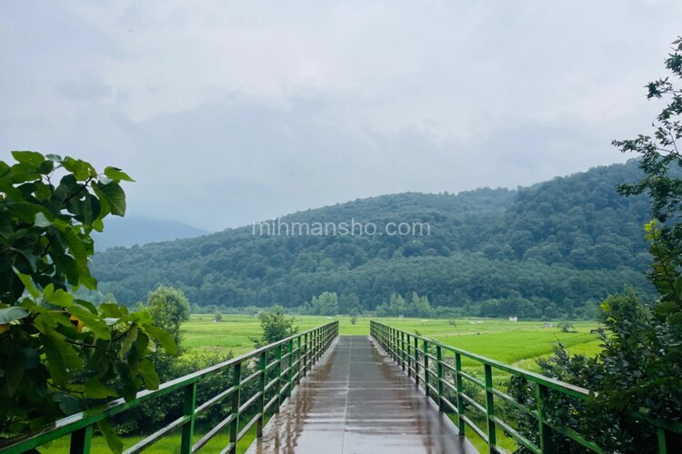 ویلا تکخواب شالیزار در سوادکوه