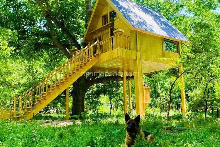 کلبه درختی دوبلکس آرامیس در فیروزکوه