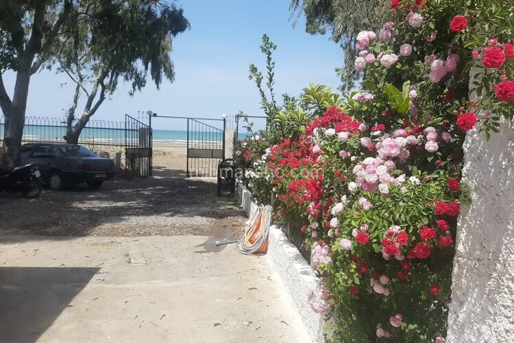 ویلا تکخواب ساحلی شاتوت در فریدونکنار