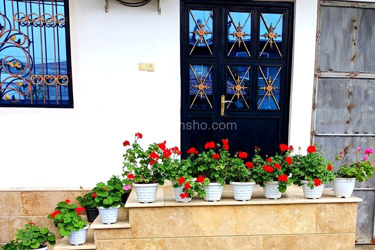 واحد مبله تکخواب در طبقه همکف ویلا رستمی در رامسر