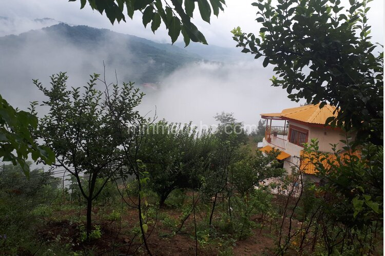 ویلای جنگلی میاه سر