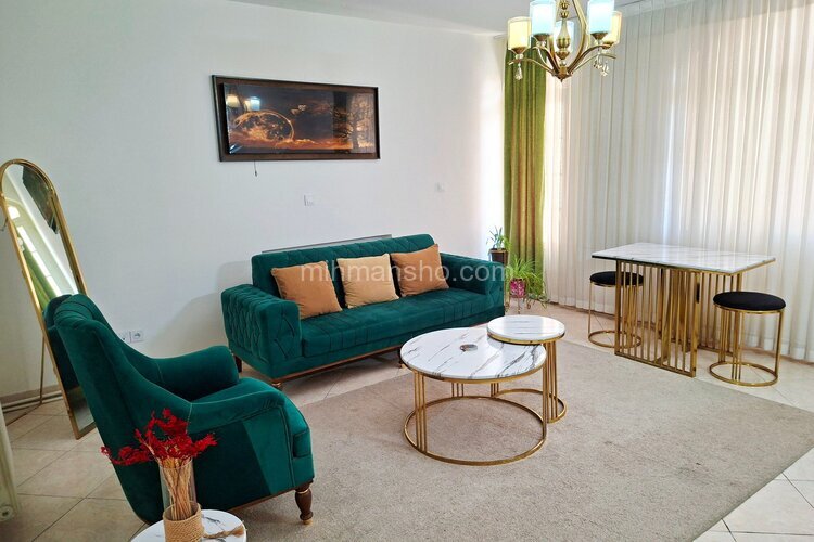 آپارتمان مبله تکخواب در ارم (2)