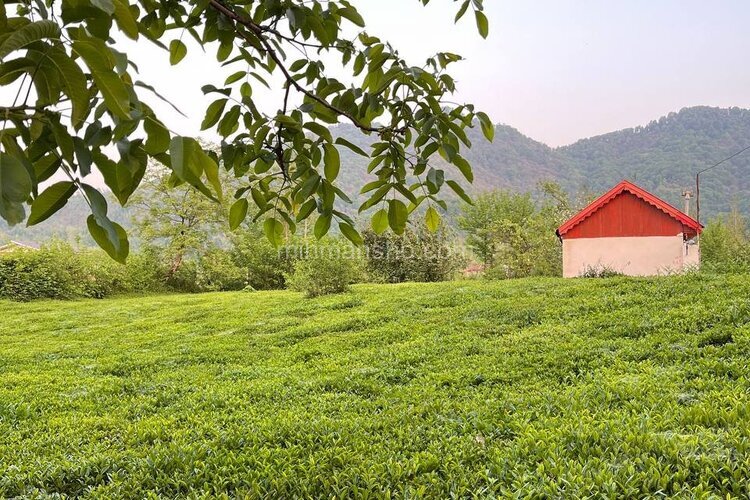 ویلا باغ تکخواب مبله در فومن