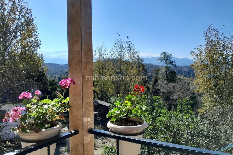 ویلا تکخواب جنگلی ماهان در بابل