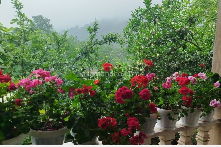 ویلا مبله دوبلکس دوخواب در ماسال