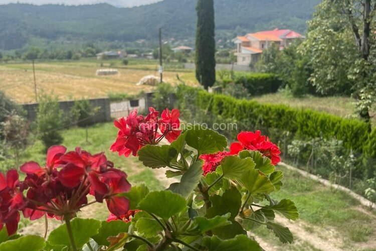 ویلا دوخواب امیرعلی در ماسال | ویووی بیرون عکس اول