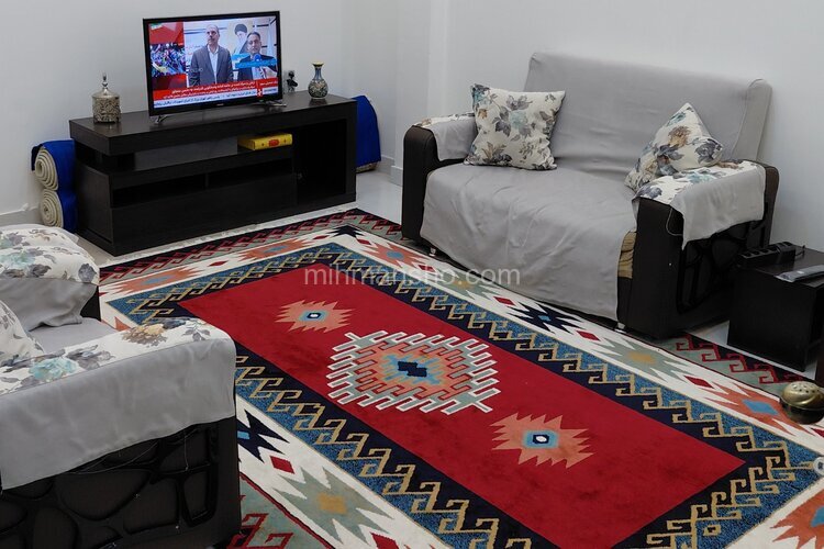 آپارتمان مبله تکخواب در کارگر جنوبی