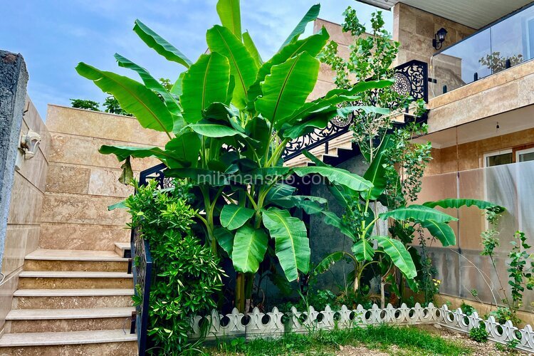 واحد مبله سه خواب در طبقه اول ویلا یونا  در ساری