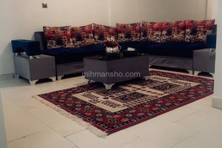 آپارتمان مبله تکخواب نفس 2 در کارگر جنوبی