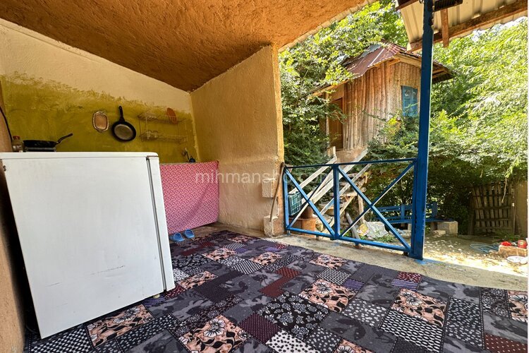 سوئیت جنگلی کاهگلی در کیاده ساری