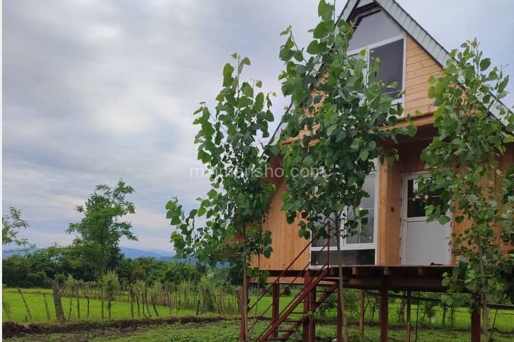 کلبه سوئیسی مبله تکخواب ملک جهان در ماسال