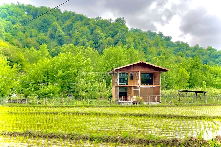 کلبه دوبلکس چوبی جنگلی تکخواب در تالش