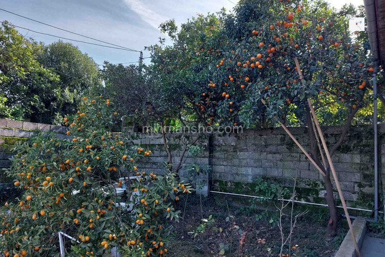 ویلای شهرزاد در رامسر