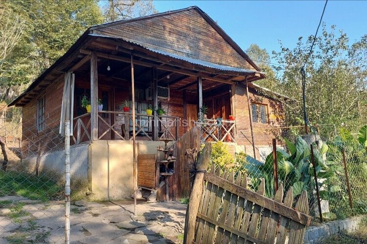 کلبه جنگلی تکخواب افرا در سوادکوه