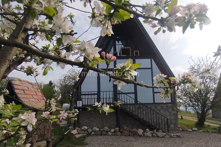 کلبه سوئیسی تکخواب مزرعه 1 در مرزیکلا