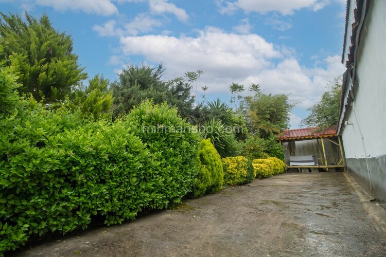 ویلای تریپلکس دوخواب قو سفید در رشت