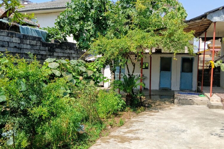 ویلا مبله تکخواب ساحلی گل میخک در کلاچای