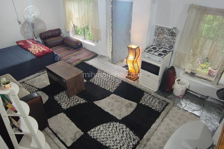 سوئیت جنگلی در لاویج