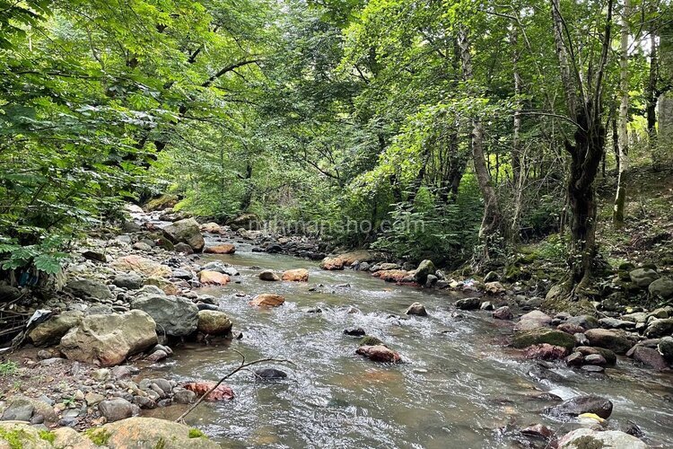 آپارتمان مبله جکوزی دار تک خواب سروش 1 در شفت