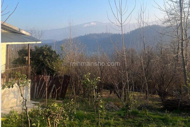 ویلا جنگلی تکخواب ویارسرا در بابل