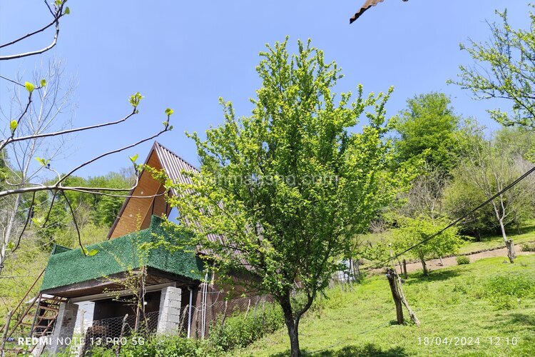 کلبه سوئیسی دوبلکس تکخواب جکوزی دار در شیرگاه
