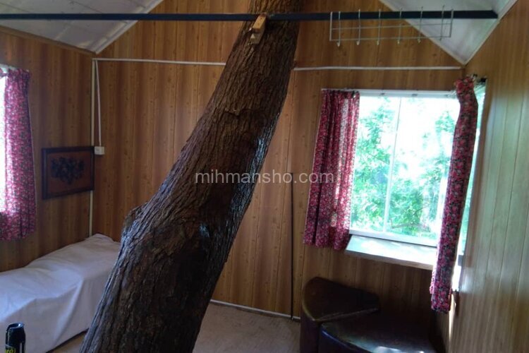 کلبه درختی 20 متری در نور