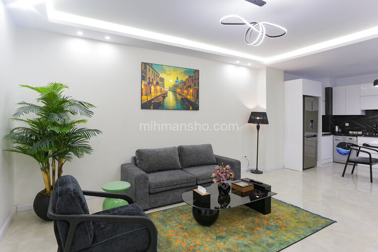 آپارتمان مبله تکخواب 1 در خیابان ولیعصر