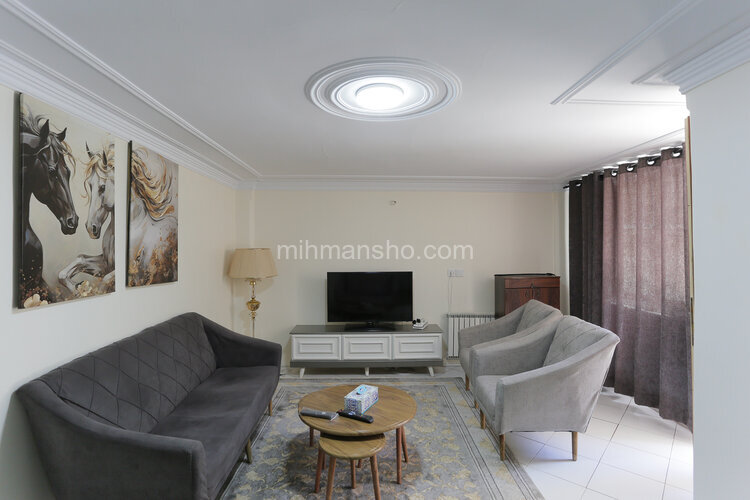 آپارتمان مبله تک خواب در جنت آباد جنوبی