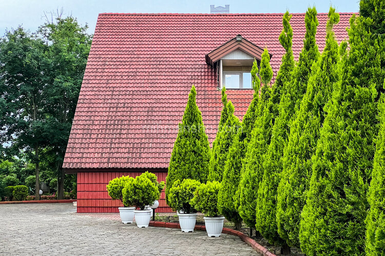 ویلا دوبلکس استخردار شوکا در فومن